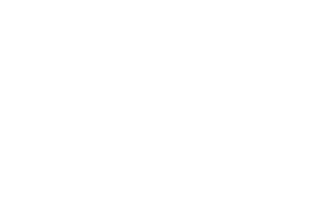 SPX MGMT LLC Logo